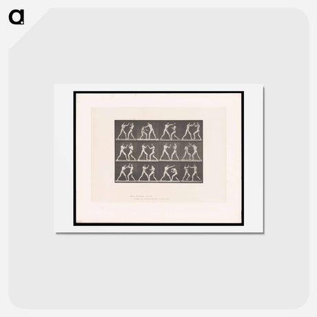 アートポストカード-Posing Pugilists
 - エドワード マイブリッジ Postcard.