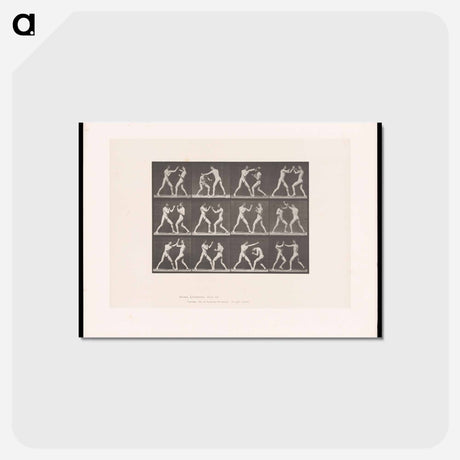 アートポストカード-Posing Pugilists
 - エドワード マイブリッジ Postcard.