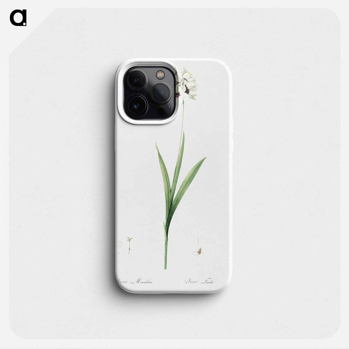 Ixia maculata illustration - Pierre Joseph Redouté Phone Case.