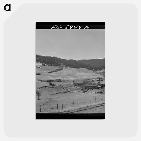 アートポストカード-Park County Cattle Ranch
 - ラッセル リー Postcard.