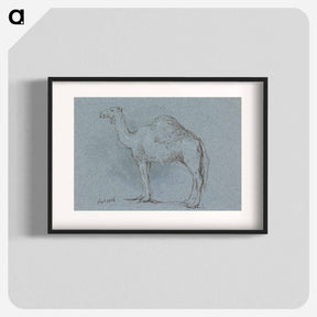 アートポスター-A Camel, Facing Left
 - イェール大学アートギャラリー Poster.