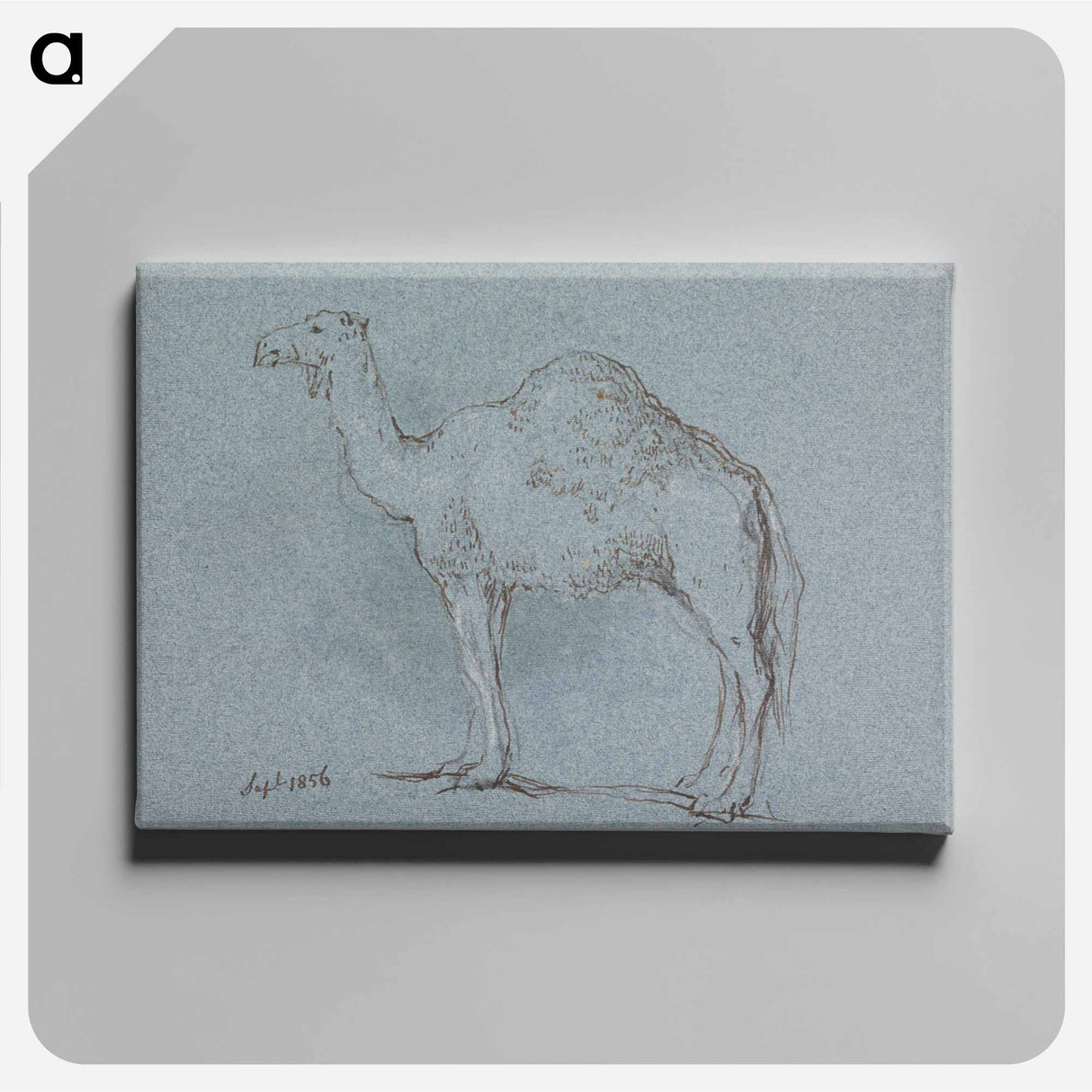アートパネル-A Camel, Facing Left
 - イェール大学アートギャラリー Canvas.