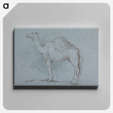 アートパネル-A Camel, Facing Left
 - イェール大学アートギャラリー Canvas.