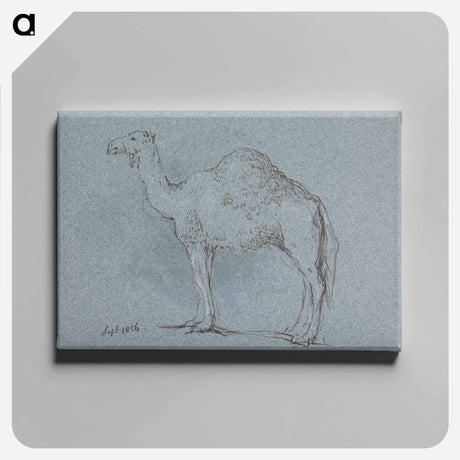 アートパネル-A Camel, Facing Left
 - イェール大学アートギャラリー Canvas.