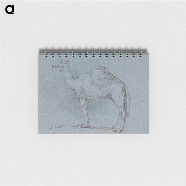 アートメモ帳-A Camel, Facing Left
 - イェール大学アートギャラリー Memo.
