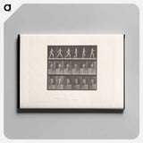 アートパネル-Naked Man Walking
 - エドワード マイブリッジ Canvas.