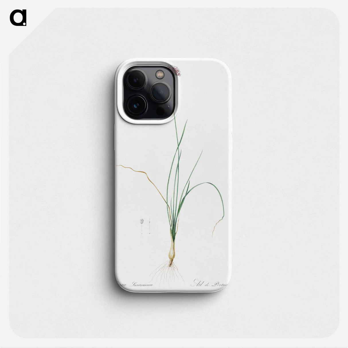 Mountain garlic illustration - ピエール ジョゼフ ルドゥーテ Phone Case.