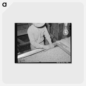 アートポストカード-Peanut Shelling Plant Screens
 - ラッセル リー Postcard.