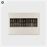 アートポストカード-Naked Man Walking
 - エドワード マイブリッジ Postcard.