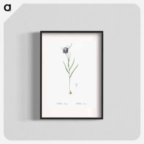 アートポスター-Chess flower illustration - ピエール ジョゼフ ルドゥーテ Poster.