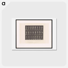 アートポストカード-Woman with Goblet
 - エドワード マイブリッジ Postcard.