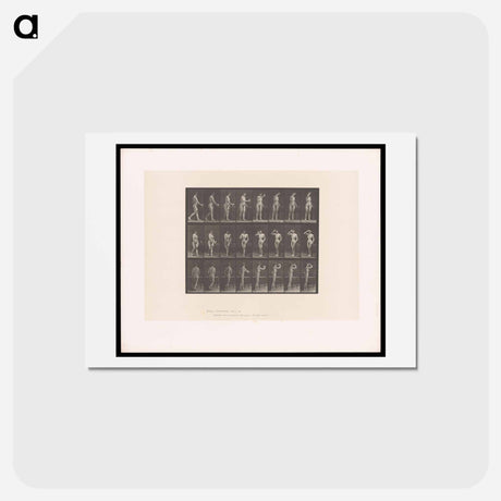 アートポストカード-Woman with Goblet
 - エドワード マイブリッジ Postcard.