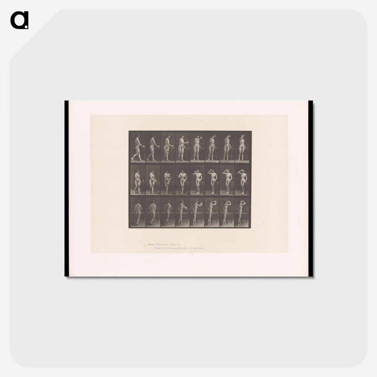 アートポストカード-Woman with Goblet
 - エドワード マイブリッジ Postcard.