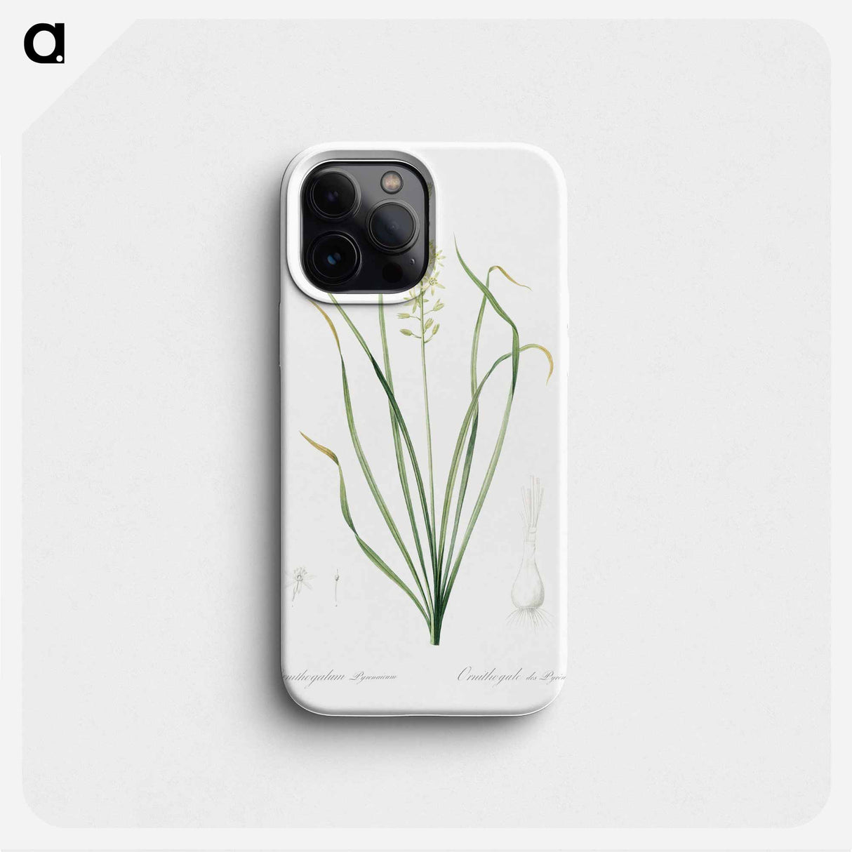 Wild asparagus illustration - ピエール ジョゼフ ルドゥーテ Phone Case.