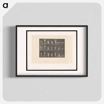 Putting on Undergarments
 - エドワード マイブリッジ Poster.