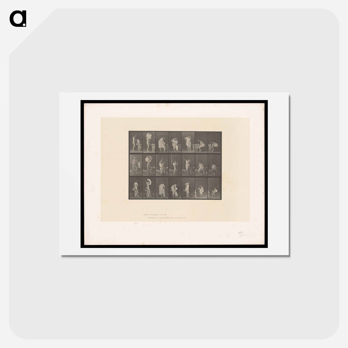 アートポストカード-Putting on Undergarments
 - エドワード マイブリッジ Postcard.