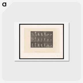 アートポストカード-Putting on Undergarments
 - エドワード マイブリッジ Postcard.