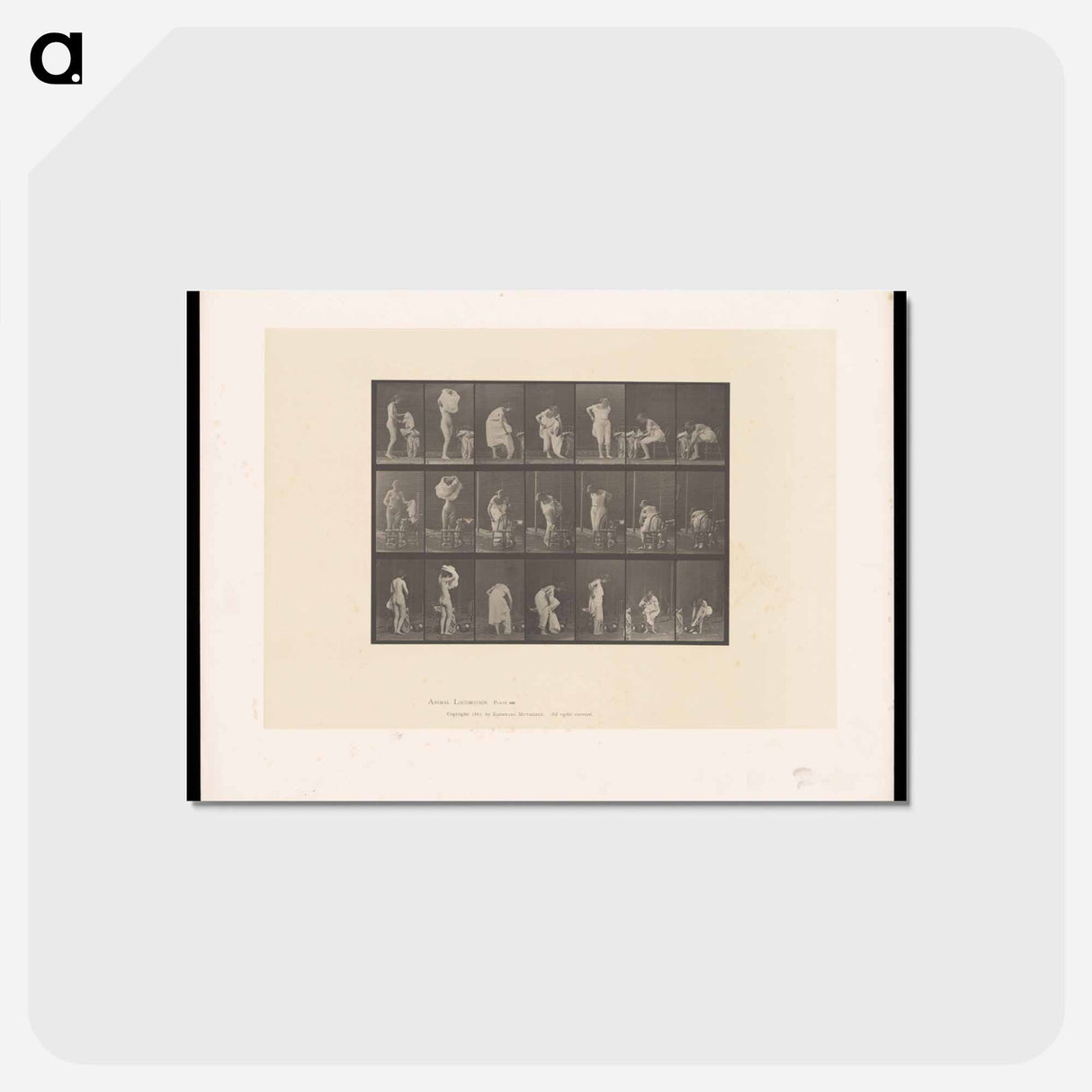 アートポストカード-Putting on Undergarments
 - エドワード マイブリッジ Postcard.