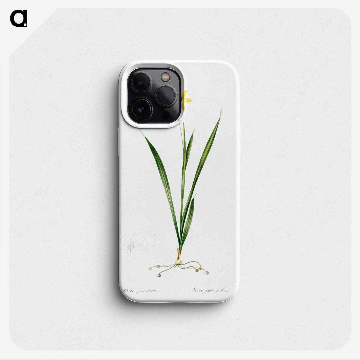 Ixia fusco citrina - Pierre Joseph Redouté Phone Case.