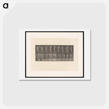 アートポストカード-The Burden
 - エドワード マイブリッジ Postcard.