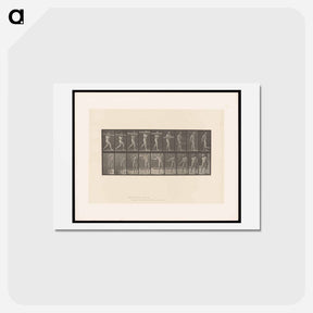 アートポストカード-The Burden
 - エドワード マイブリッジ Postcard.