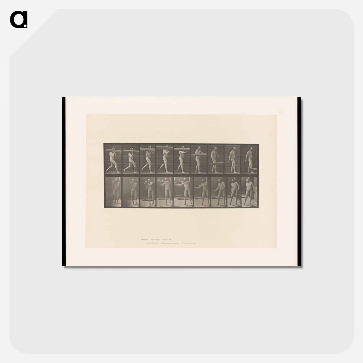アートポストカード-The Burden
 - エドワード マイブリッジ Postcard.