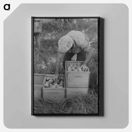 アートパネル-Mormon Farmer Shoeing a Horse
 - ラッセル リー Canvas.