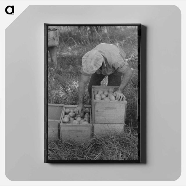 アートパネル-Mormon Farmer Shoeing a Horse
 - ラッセル リー Canvas.