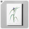 アートパネル-Virginia spiderwort - ピエール ジョゼフ ルドゥーテ Canvas.