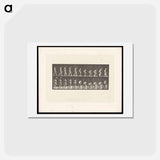 アートポストカード-Woman Picking Cloth
 - エドワード マイブリッジ Postcard.
