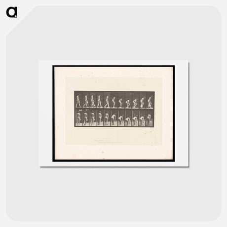 アートポストカード-Woman Picking Cloth
 - エドワード マイブリッジ Postcard.