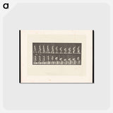 アートポストカード-Woman Picking Cloth
 - エドワード マイブリッジ Postcard.