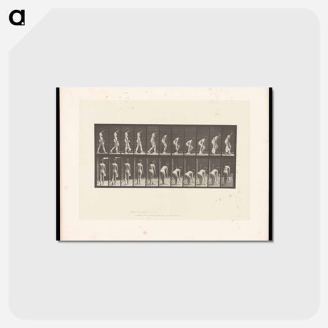 アートポストカード-Woman Picking Cloth
 - エドワード マイブリッジ Postcard.