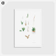 アートポストカード-Botanical roots and leaves - ピエール ジョゼフ ルドゥーテ Postcard.