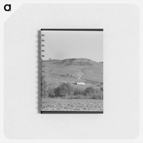 アートメモ帳-Soil erosion in California hills - ドロテア ラング Memo.