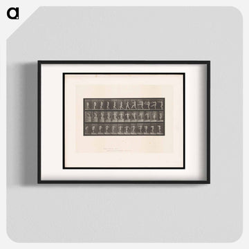 Hat Play
 - エドワード マイブリッジ Poster.