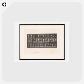 アートポストカード-Hat Play
 - エドワード マイブリッジ Postcard.