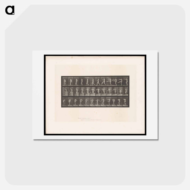 アートポストカード-Hat Play
 - エドワード マイブリッジ Postcard.