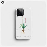 Scilla obtusifolia illustration from Les liliacées - ピエール ジョゼフ ルドゥーテ Phone Case.