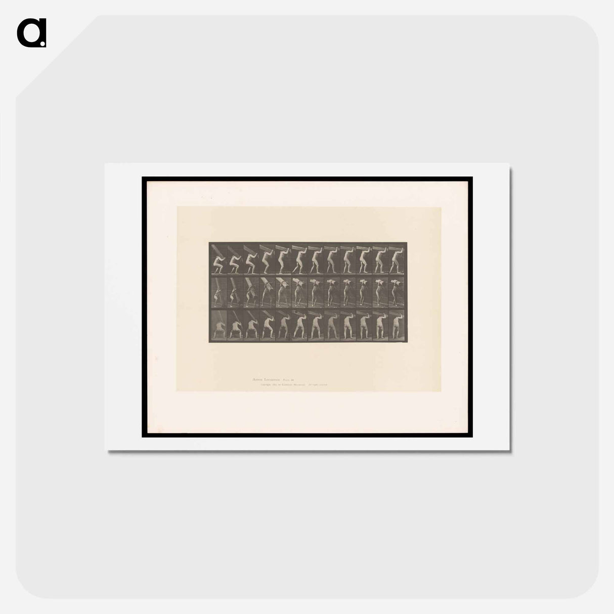 アートポストカード-Man with Trunk
 - エドワード マイブリッジ Postcard.