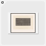アートポストカード-Man with Trunk
 - エドワード マイブリッジ Postcard.