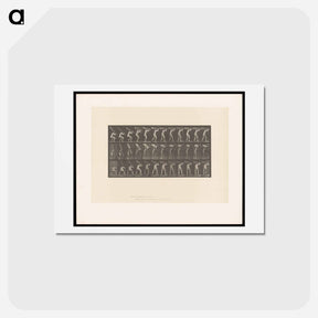 アートポストカード-Man with Trunk
 - エドワード マイブリッジ Postcard.