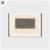 アートポストカード-Man with Trunk
 - エドワード マイブリッジ Postcard.