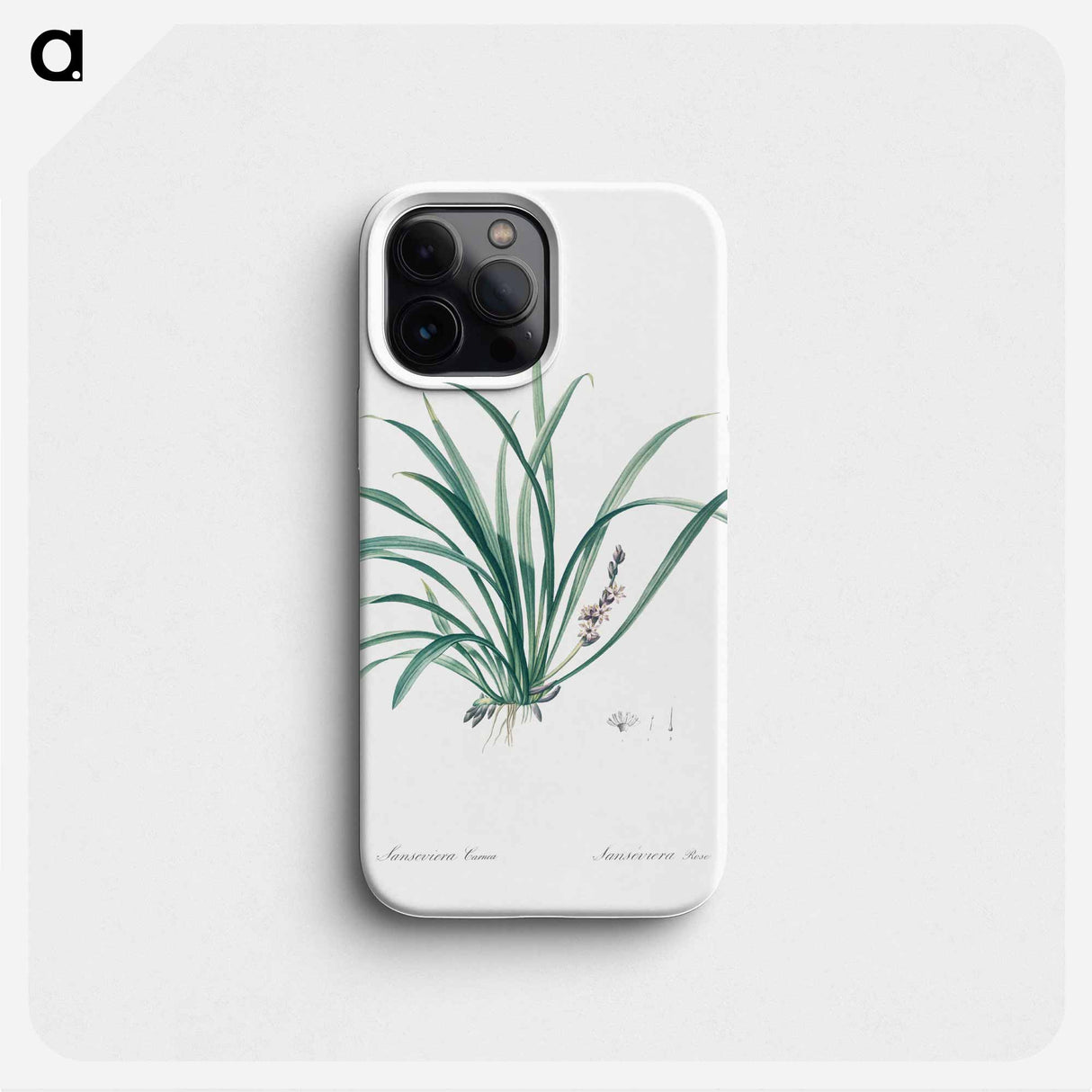 Sansevieria carnea illustration from Les liliacées - Pierre-Joseph Redouté Phone Case.