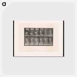 アートポストカード-Stone Carrier
 - エドワード マイブリッジ Postcard.