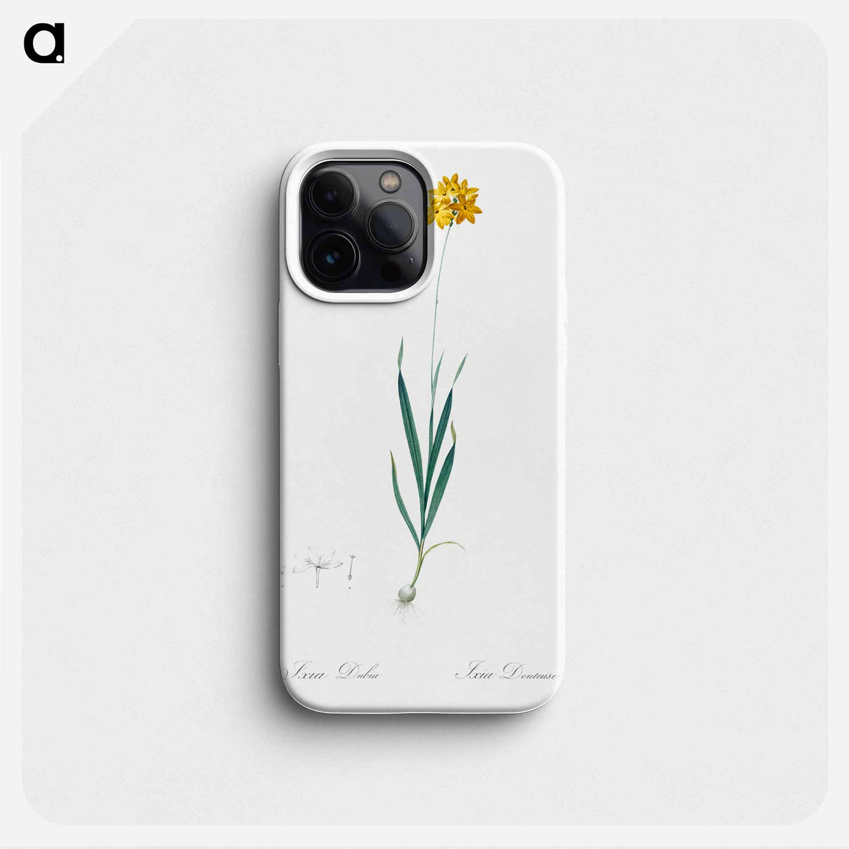 Orange Ixia - Pierre Joseph Redouté Phone Case.