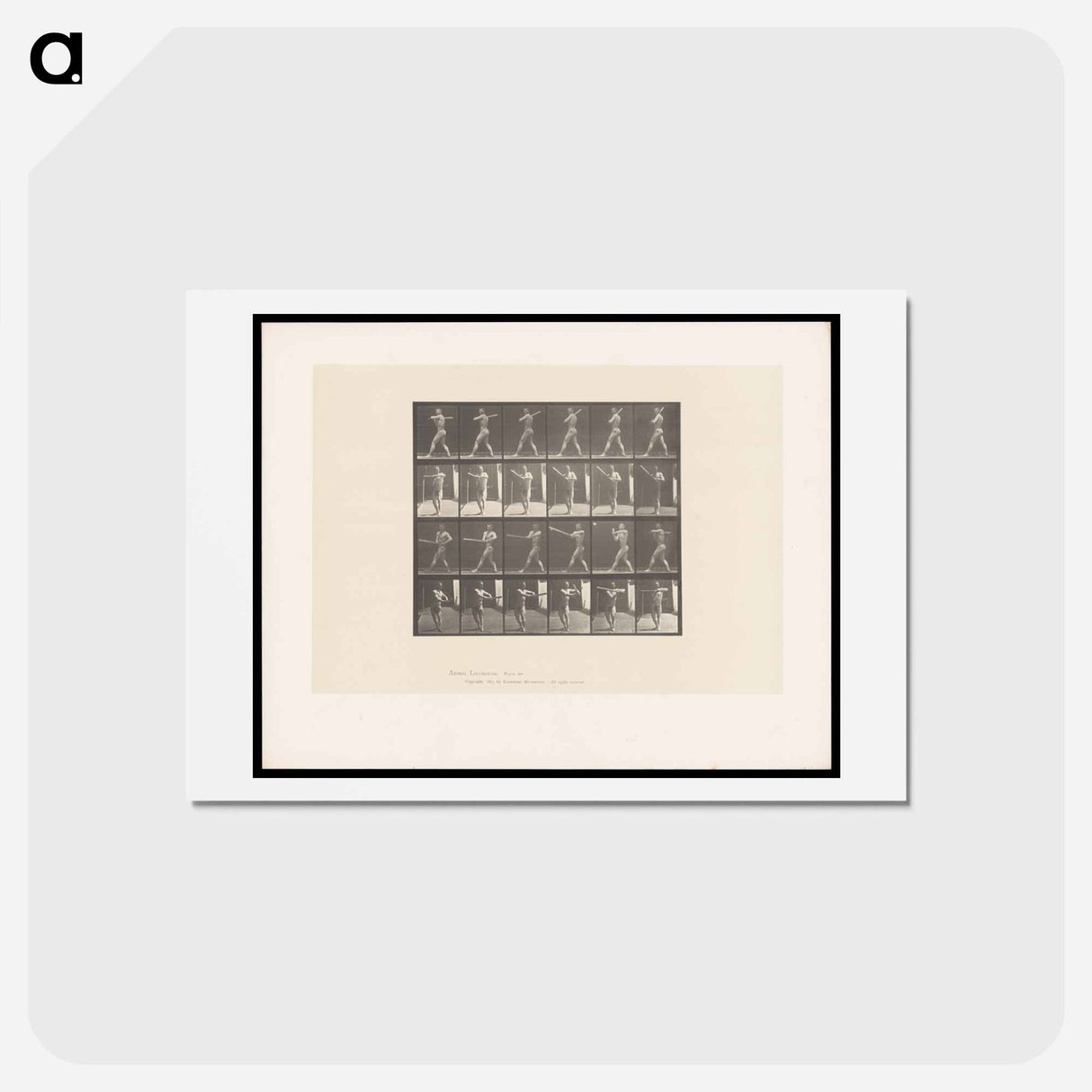 アートポストカード-Batter Up
 - エドワード マイブリッジ Postcard.