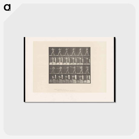 アートポストカード-Batter Up
 - エドワード マイブリッジ Postcard.