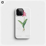 Lachenalia pendula illustration - ピエール ジョゼフ ルドゥーテ Phone Case.