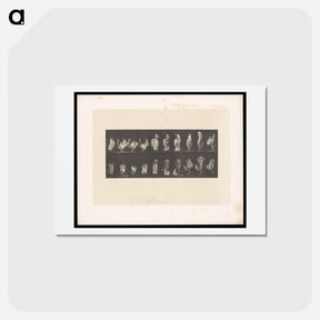 アートポストカード-Undressing
 - エドワード マイブリッジ Postcard.
